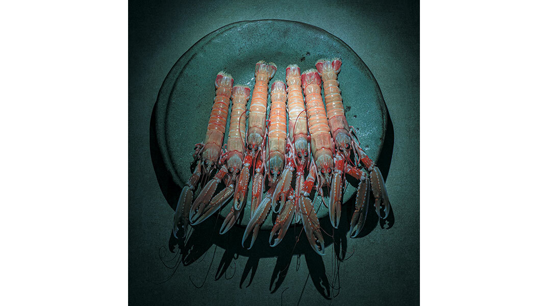 Καπετάν Γιώργης ο Μυτιληνιός: Το νέο εστιατόριο του γνωστού ψαροπωλείου στη Γλυφάδα