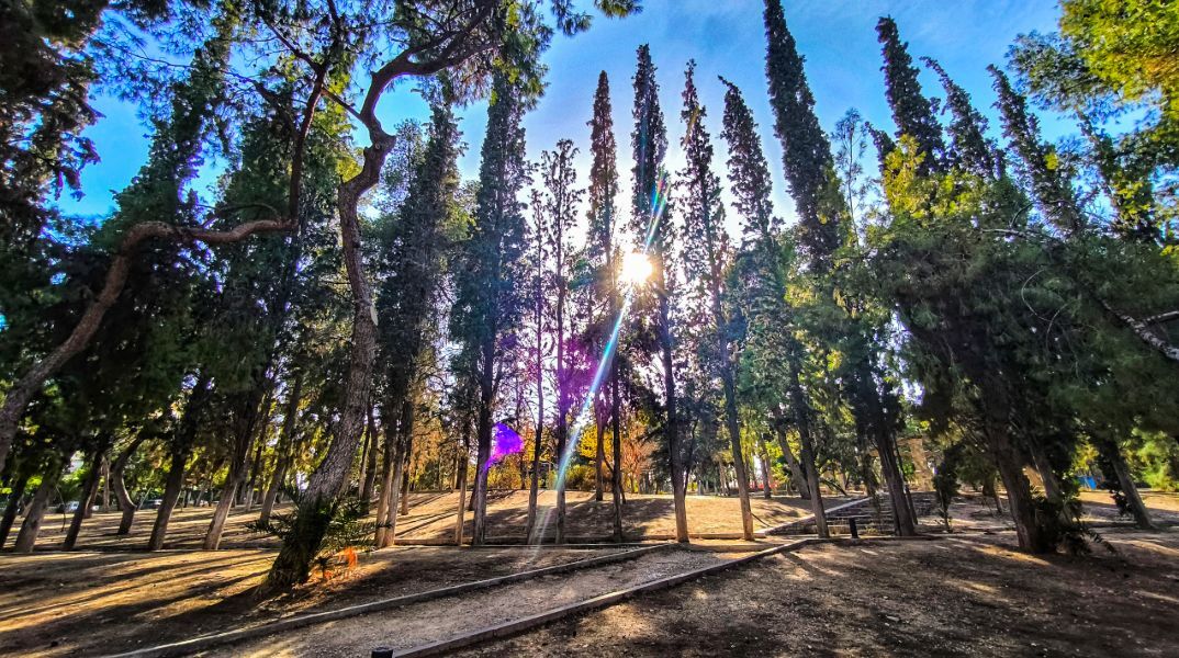 Καιρός: «Μυρίζει» Άνοιξη το Σάββατο