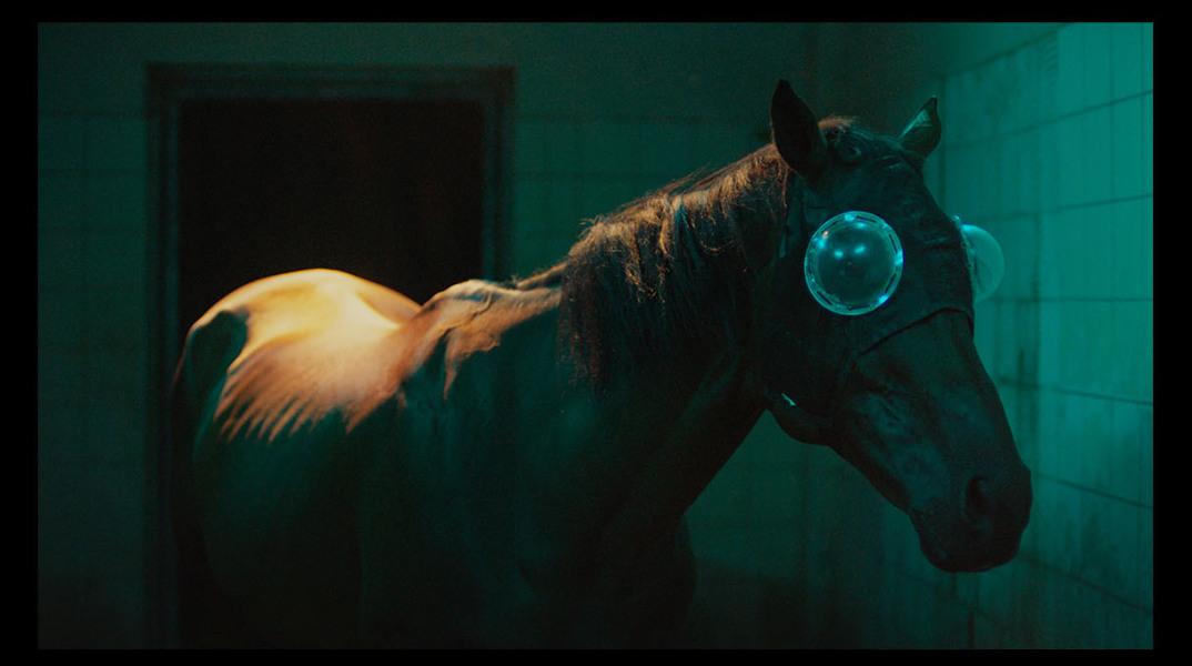 Τζάνις Ράφα: «Εμείς που προδώσαμε τα άλογα» στο EMΣΤ