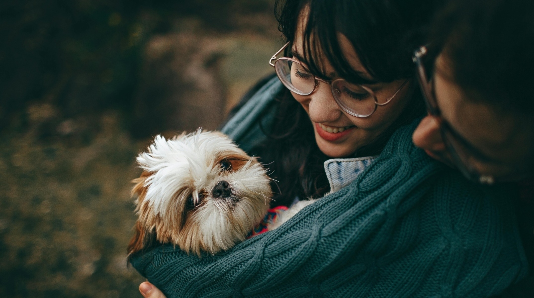 Η μαγεία της θεραπείας με σκύλους