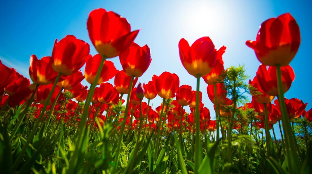 Εορτολόγιο: Σήμερα 14 Μαρτίου 2025  γιορτάζει…