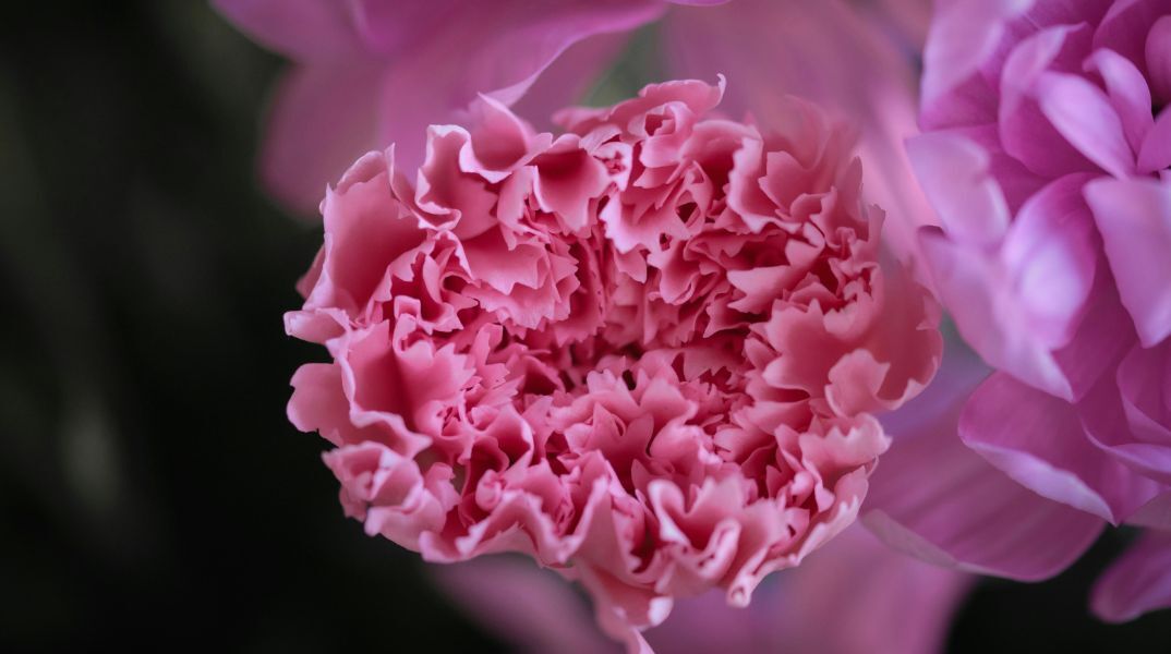 Εορτολόγιο: Σήμερα 19 Μαρτίου 2025 γιορτάζει…