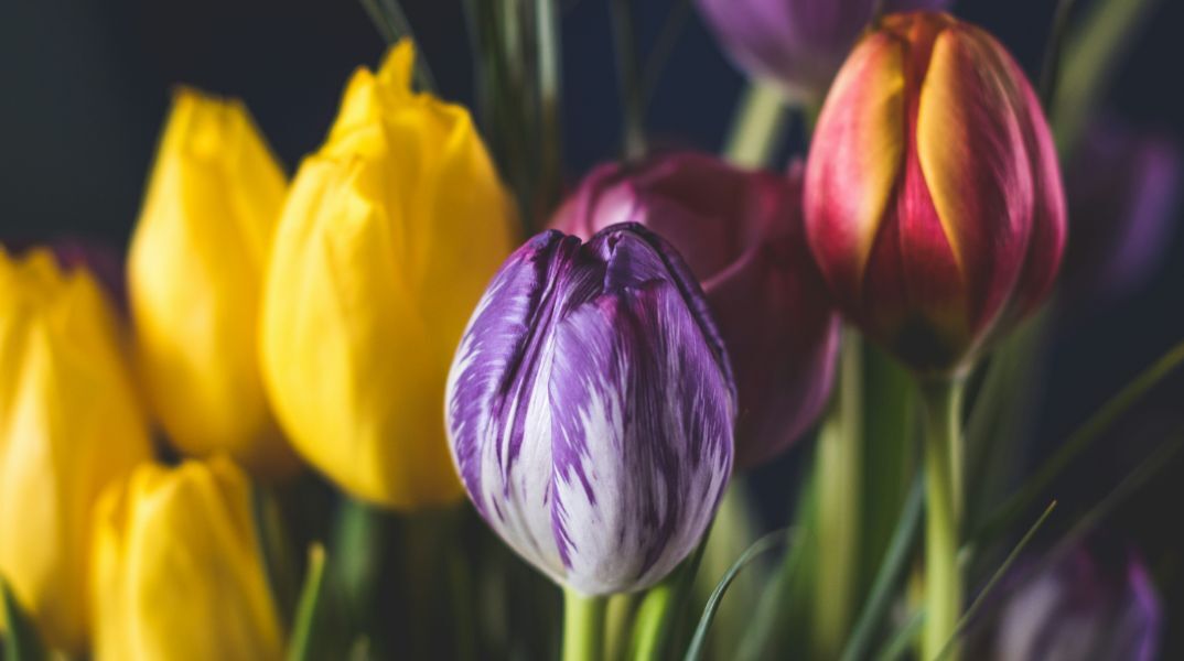 Εορτολόγιο: Σήμερα 20 Μαρτίου 2025, γιορτάζει…