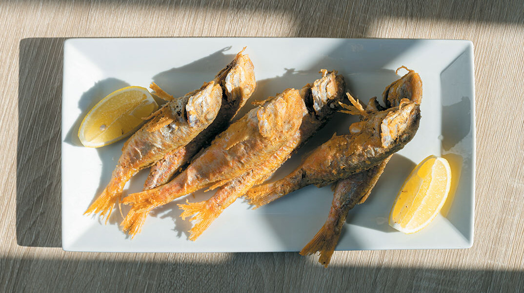 Polpo: Η θάλασσα στο πιάτο σας