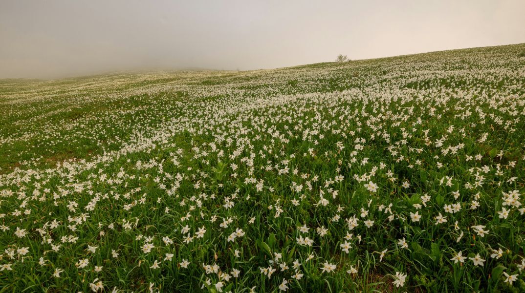 Εορτολόγιο: Σήμερα 26 Μαρτίου 2025 γιορτάζει…