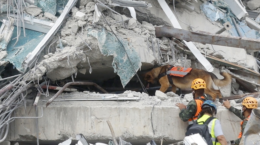 Σκυλί και διασώστες στα ερείπια μετά τον σεισμό