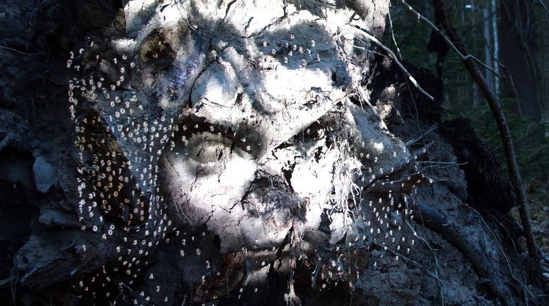 The Garden of Pythia του Charles Sandison: Μια νέα site-specific ανάθεση του PCAI στους Δελφούς