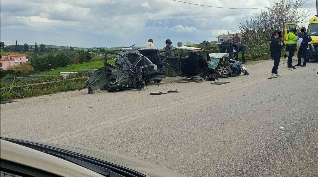 troxaioplagiari-1536x1536