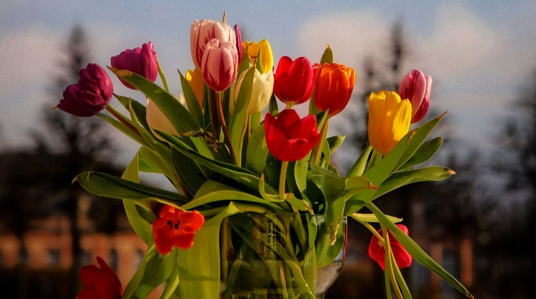 Εορτολόγιο: Σήμερα 5 Απριλίου 2025 γιορτάζει...