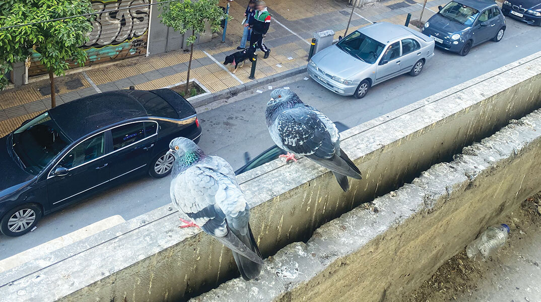 Σε βλέπω να μας βλέπεις αφ’ υψηλού