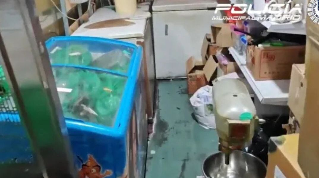 untitled_design_-_2025-04-09t163418_396