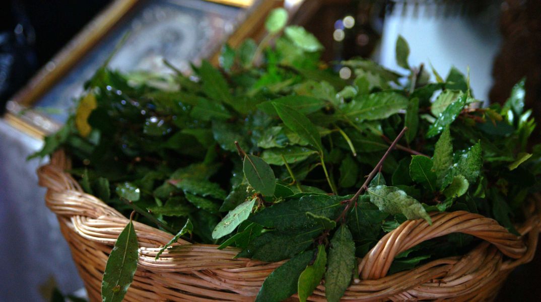 Κυριακή των Βαΐων: Τι γιορτάζουμε σήμερα και γιατί τρώμε ψάρι