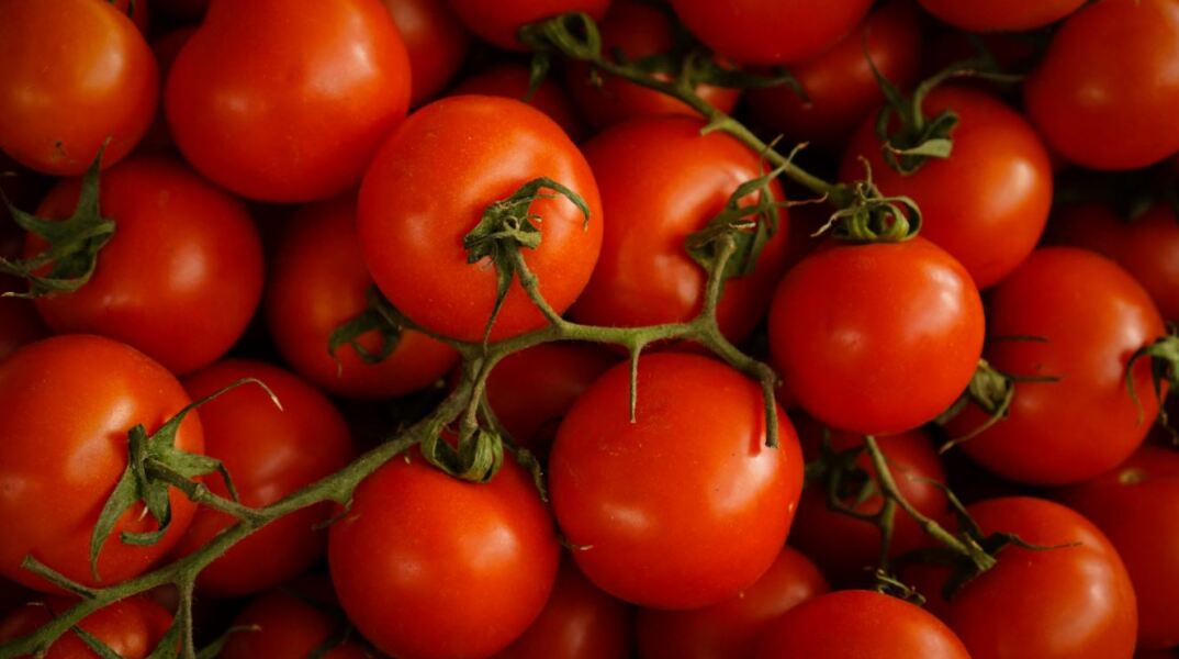 Ο Ντόναλντ Τραμπ επιβάλλει δασμούς 21% στις ντομάτες από το Μεξικό - Θα τεθεί σε εφαρμογή από τα μέσα Ιουλίου