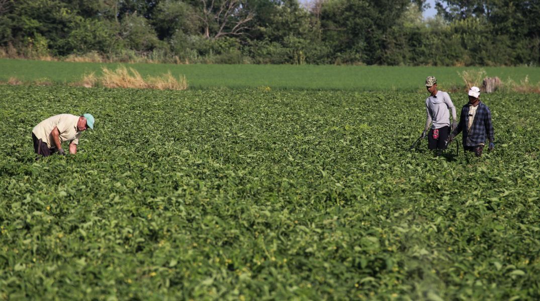 Νέα Μανωλάδα: Κρατούσαν αιχμάλωτους μετανάστες για να δουλεύουν εργάτες γης