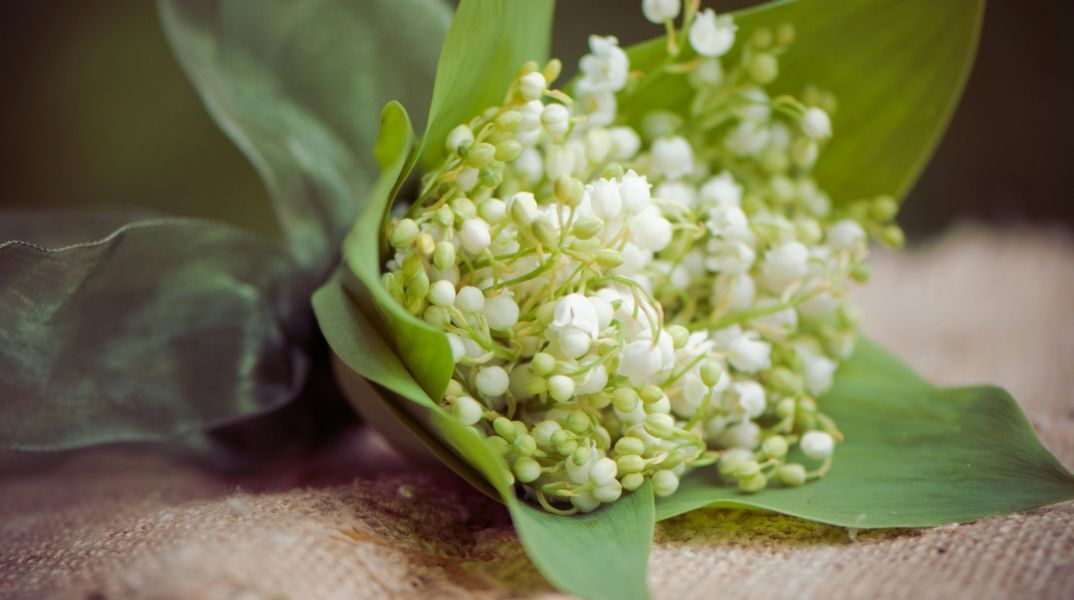 Εορτολόγιο: Σήμερα 30 Απριλίου 2025 γιορτάζει…