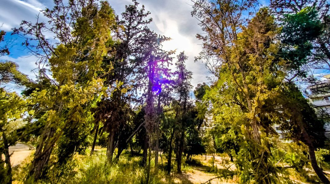 Με δύο «πρόσωπα» ο καιρός την Τετάρτη: Ανοιξιάτικες βροχές στη μισή χώρα, ηλιοφάνεια στην υπόλοιπη