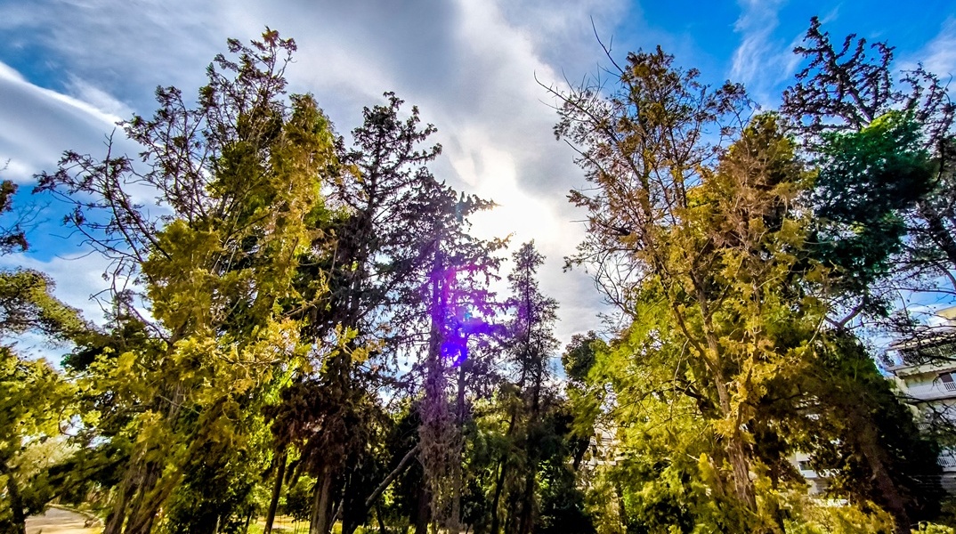 Ήλιος και σύννεφα πίσω από δέντρο
