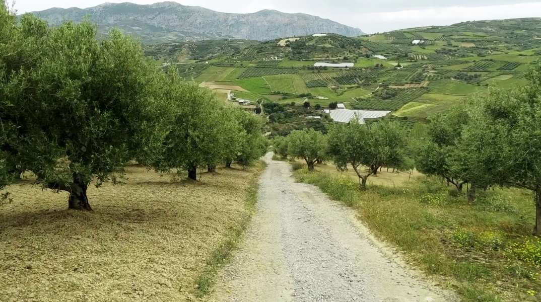 Πρόγραμμα εξοικονόμησης νερού Zero Drop της Coca-Cola