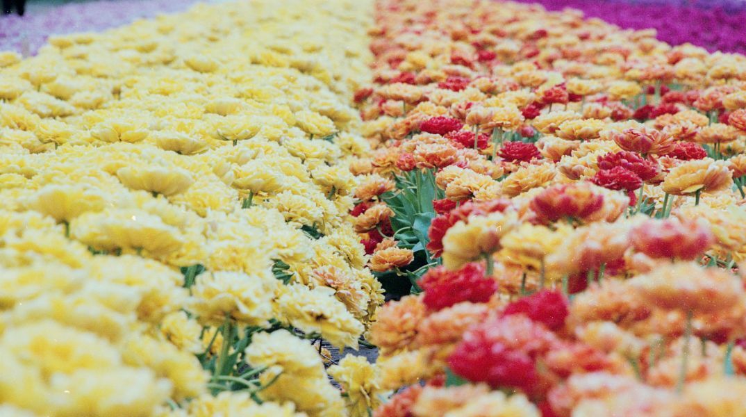 Εορτολόγιο: Σήμερα 7 Μαΐου 2024 γιορτάζει…