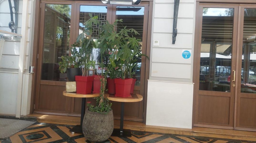 ΑΑΔΕ: 10 ημέρες λουκέτο σε πιτσαρία στο Παλαιό Φάληρο επειδή ξήλωσε τη σήμανση της φοροδιαφυγής - Τι διαπίστωσαν οι ελεγκτές που έκαναν αυτοψία