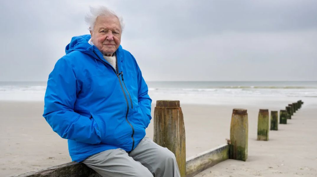 Ο σερ Ντέιβιντ Ατένμπορο γιορτάζει τα 99 με νέα ταινία για τους ωκεανούς, εμπνέοντας ελπίδα για τον πλανήτη - Μήνυμα στήριξης από τον πρίγκιπα Ουίλιαμ.