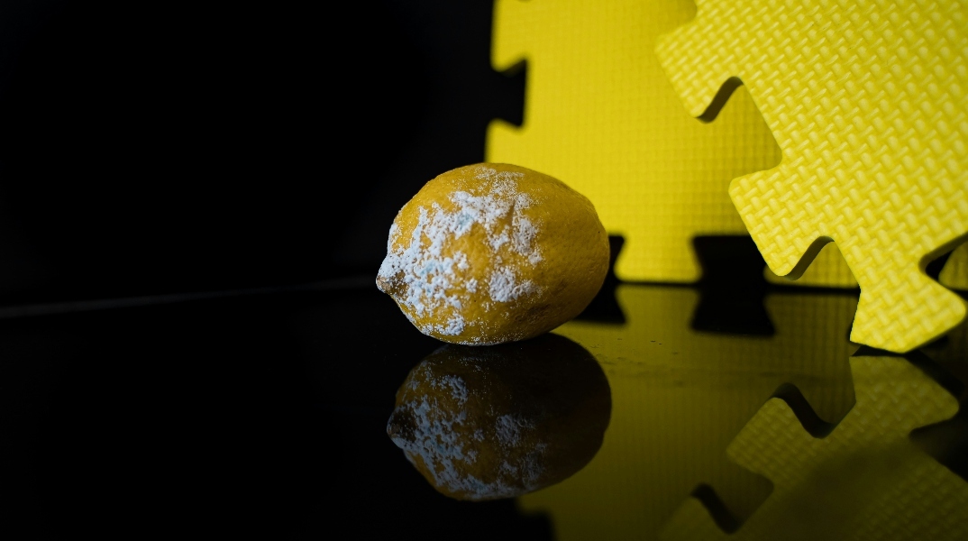 Θανατηφόρος μύκητας σε λίγα χρόνια δυνητικά θα εξαπλωθεί παντού στον κόσμο 