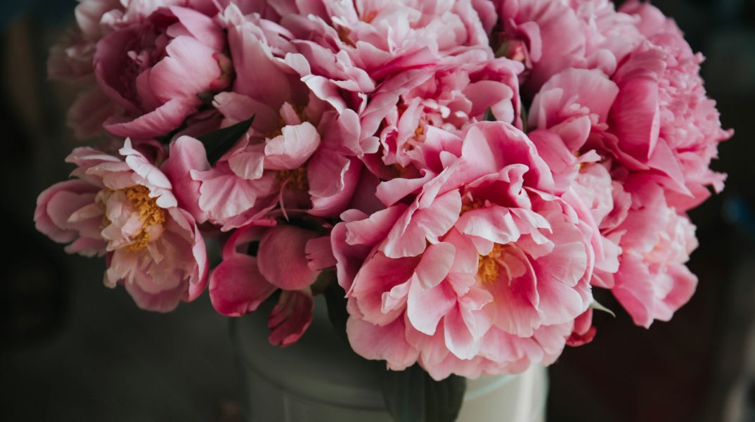 Εορτολόγιο: Σήμερα 10 Μαΐου 2025 γιορτάζει…