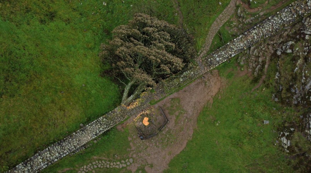 Βρετανία: Το κίνητρο εκδίκησης πίσω από το κίνητρο των ανδρών που έκοψαν το εμβληματικό Sycamore Gap
