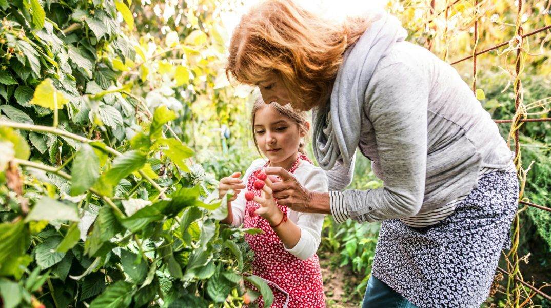 Κι όμως, η κηπουρική μπορεί να σας βοηθήσει να ζήσετε καλύτερα και περισσότερο