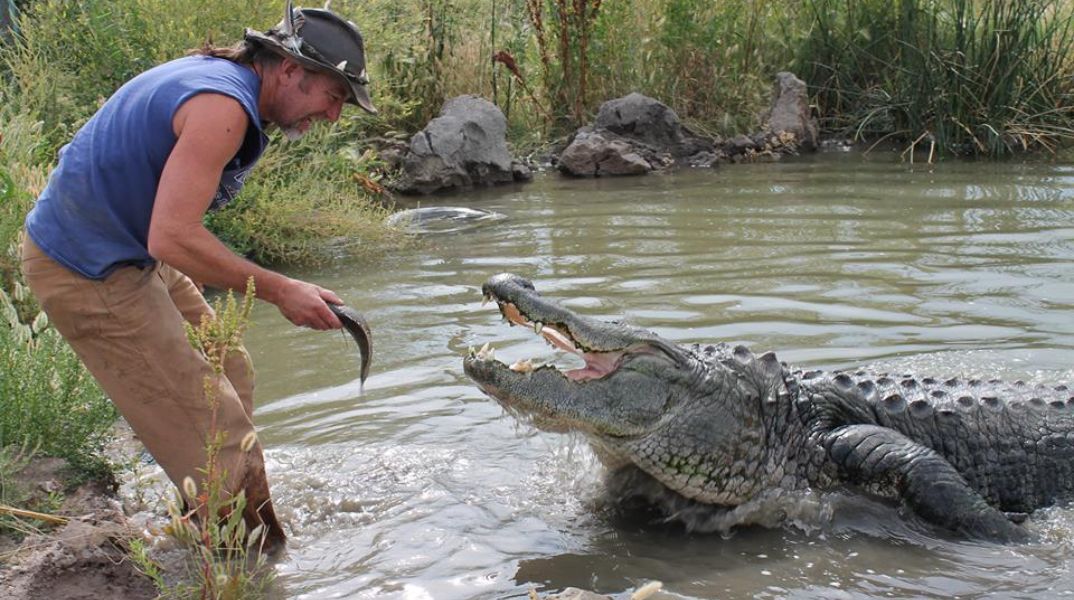 Πέθανε ο πιο διάσημος αλιγάτορας του κόσμου στα 80 του χρόνια