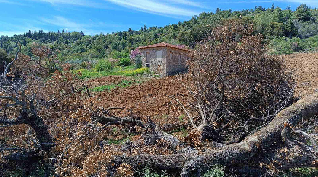 Καθαρίζω το χωράφι μου, ας εισβάλλω και στου γείτονα