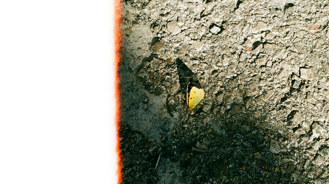 Μάιος: Σημειώσεις για τον τελευταίο μήνα της άνοιξης