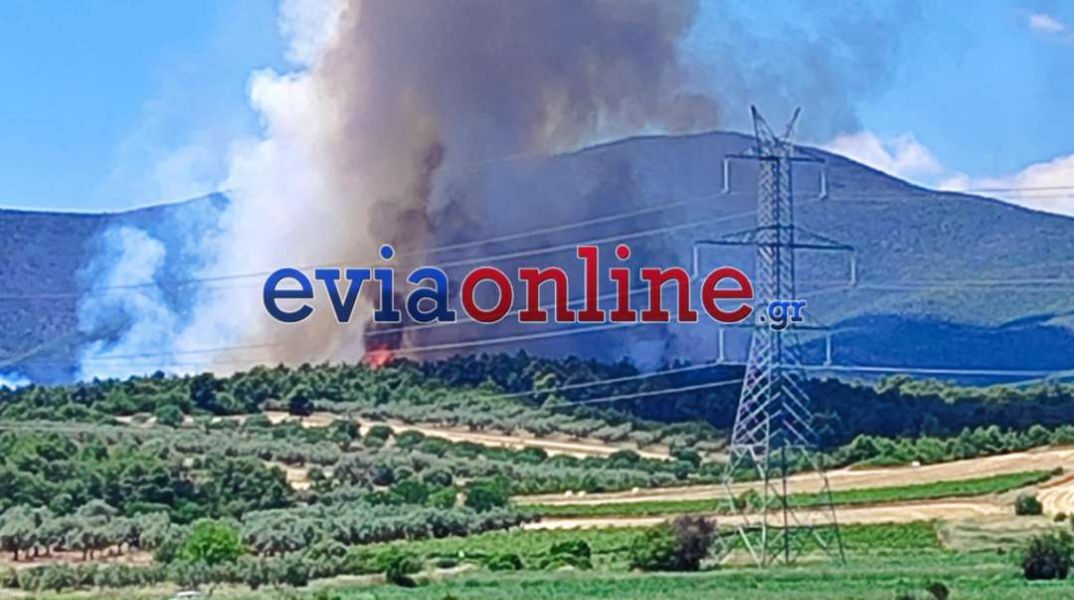 Βελτιωμένη η εικόνα της φωτιάς στη Pιτσώνα - Συνελήφθη 28χρονος που έκανε αγροτικές εργασίες