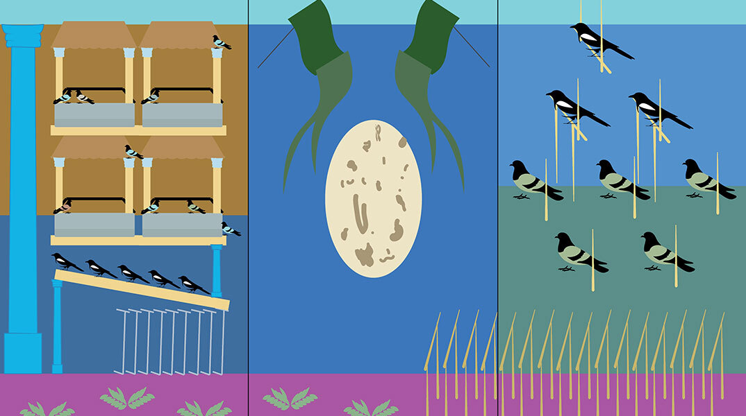 Inhabiting: Μία έκθεση για την κατοίκηση και τις συμβιωτικές σχέσεις