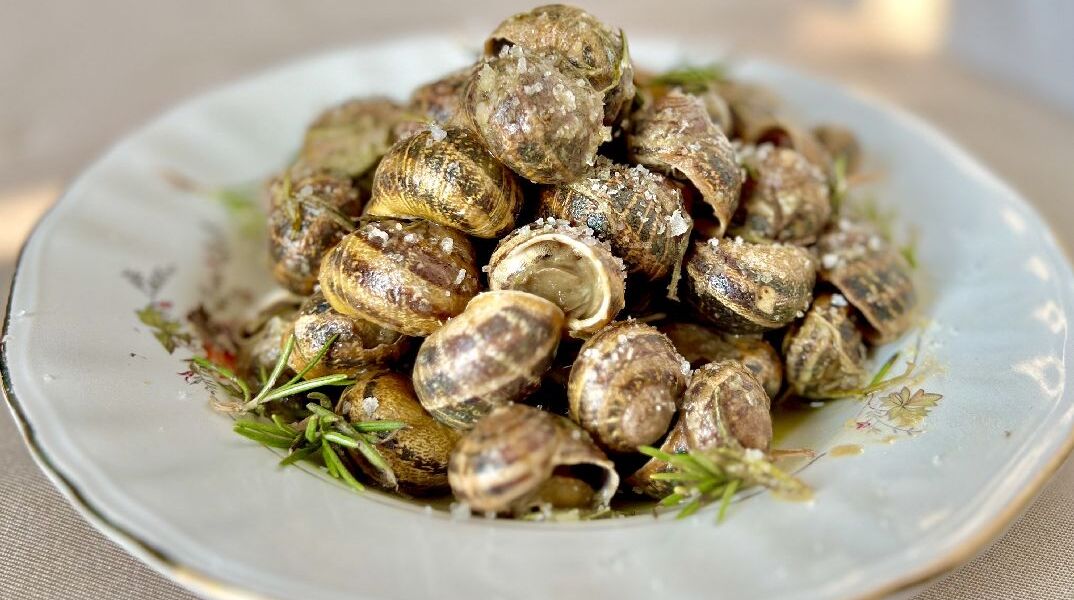 Χοχλιοί Μπουμπουριστοί