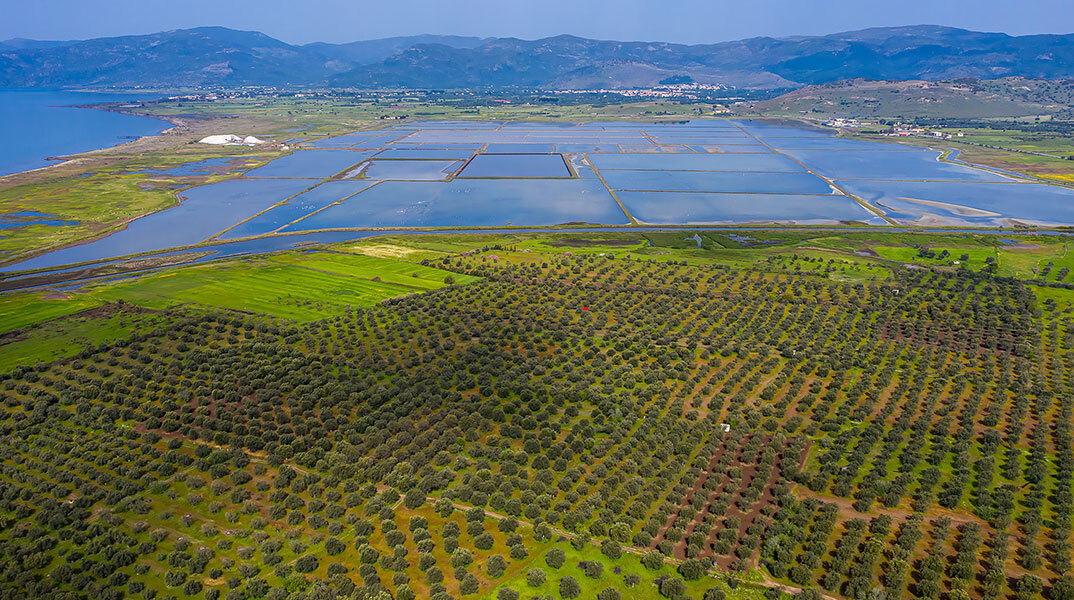 Τι είναι αυτό που κάνει την Λέσβο τόσο ξεχωριστή όσον αφορά τη βιοποικιλότητα της;