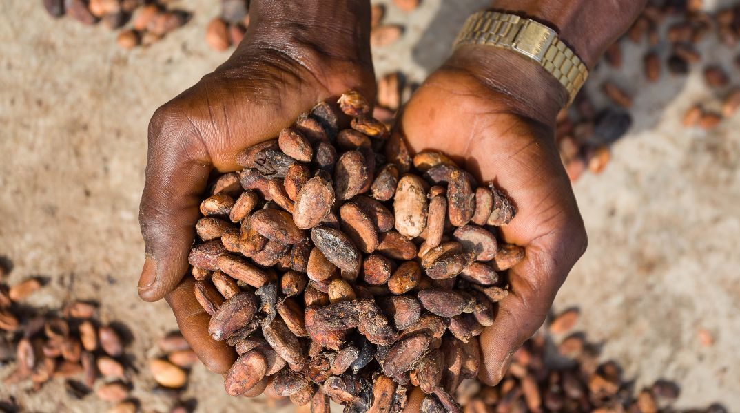 Η κλιματική αλλαγή απειλεί τη σοκολάτα - Η ΕΕ εξαρτάται από ευάλωτες χώρες για κακάο, σιτάρι και καλαμπόκι, αυξάνοντας τον κίνδυνο ελλείψεων
