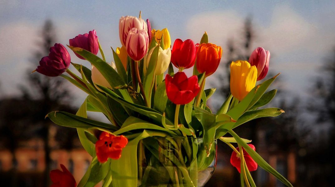 Εορτολόγιο: Σήμερα 26 Μαΐου 2025 γιορτάζει…