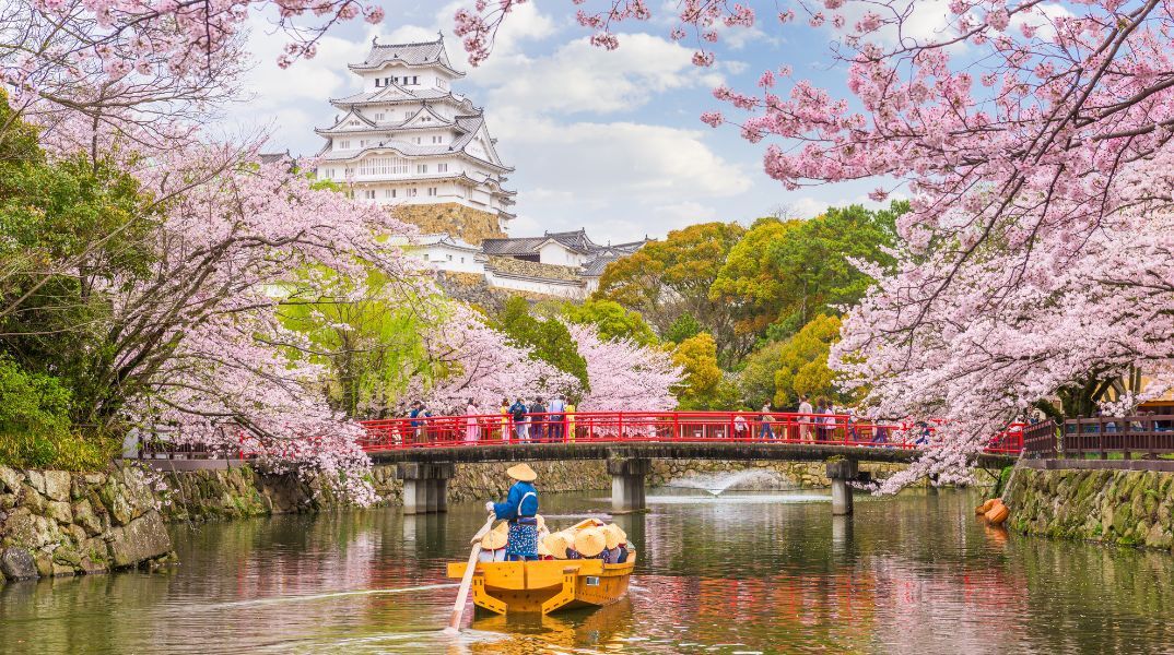 Πτώση τουρισμού στην Ιαπωνία - Ανησυχία για «προφητεία» σεισμού σε μάνγκα προκαλεί μείωση κρατήσεων από χώρες της Ασίας - Αντιδράσεις ειδικών και αρχών