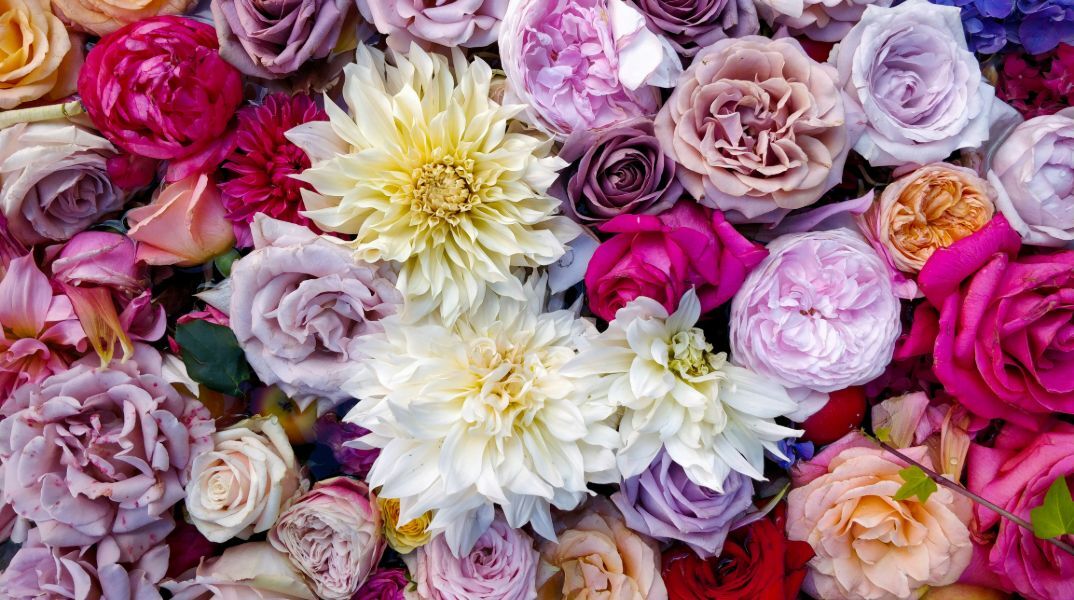 Εορτολόγιο: Σήμερα 29 Μαΐου 2025 γιορτάζει…