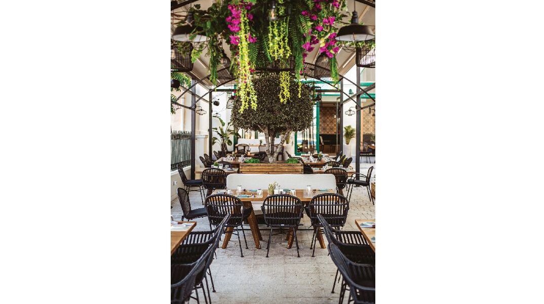 Κουτσή Κατσίκα