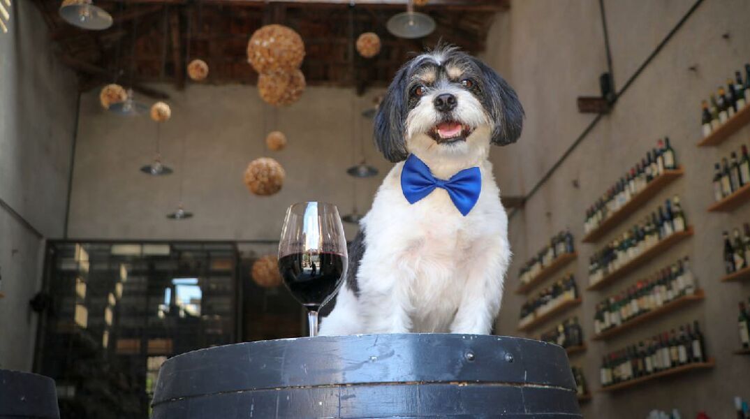 Η άνθηση των wine bars