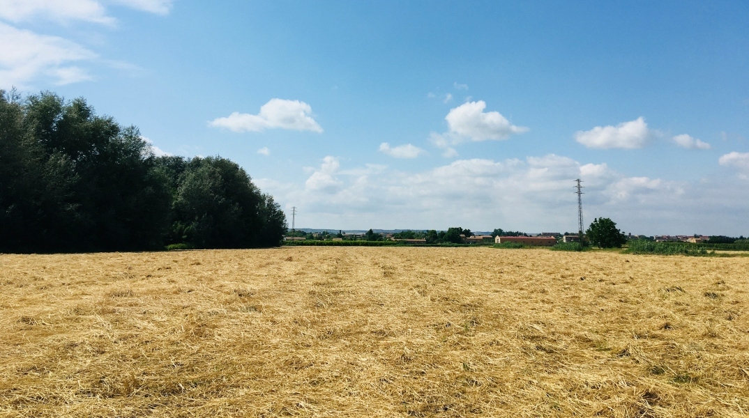 ΟΠΕΚΕΠΕ: Ψεύτικοι βοσκότοποι και το σκάνδαλο των επιδοτήσεων 