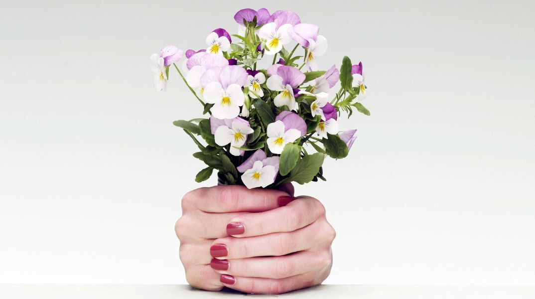 Ποιοι γιορτάζουν σήμερα 9 Ιουνίου 2025; Το εορτολόγιο της Athens Voice σου τους θυμίζει. Μην ξεχάσεις να τους δώσεις τις καλύτερες ευχές σου!