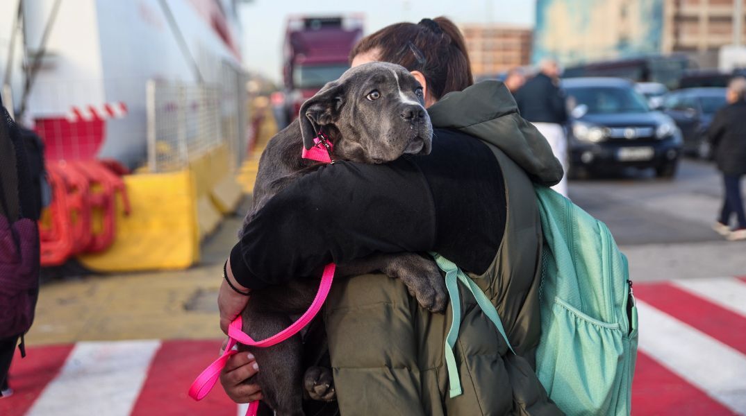 Χιλιάδες εκδρομείς εγκαταλείπουν την Αττική για το τριήμερο του Αγίου Πνεύματος - Πάνω από 35.000 αναχωρήσεις από τον Πειραιά την Παρασκευή και το Σάββατο
