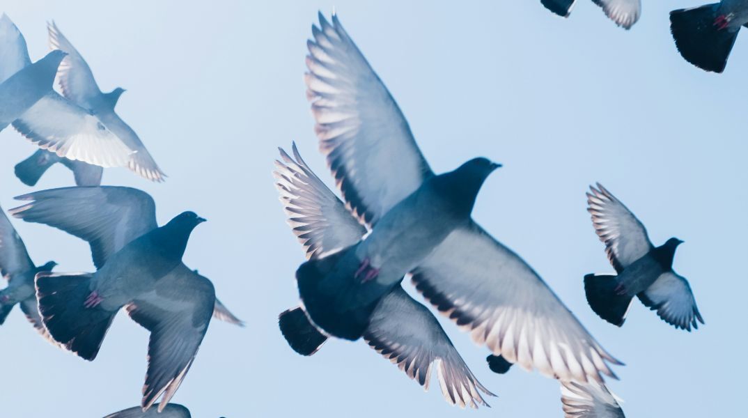 Αγίου Πνεύματος 2025: Τι γιορτάζουμε σήμερα - Οι αργίες που ακολουθούν