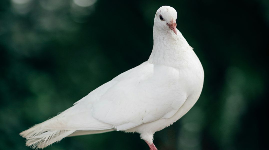 Αγίου Πνεύματος 2025: Πώς θα αμειφθούν όσοι εργάζονται σήμερα