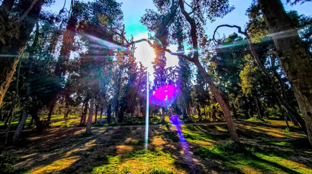 Καιρός: Ξηρός και επικίνδυνος ο Ιούνιος -  Έρχονται μελτέμια, αυξάνεται ο κίνδυνος για πυρκαγιές