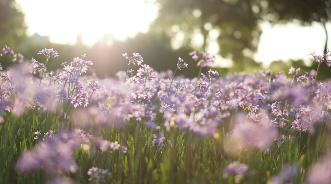 Εορτολόγιο: Σήμερα 12 Ιουνίου 2025 γιορτάζει…