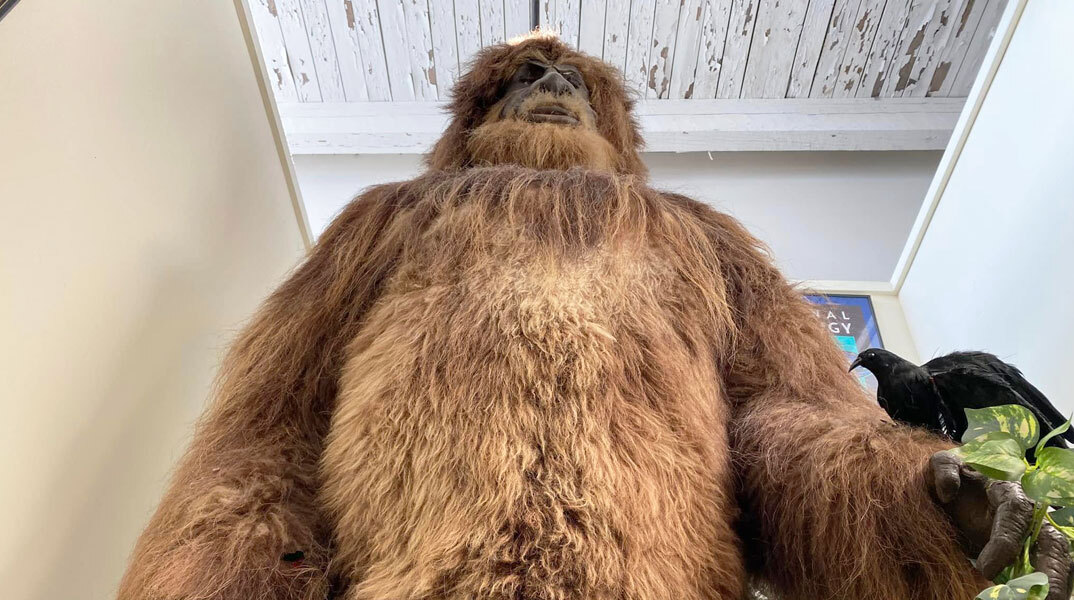 Διεθνές Μουσείο Κρυπτοζωολογίας | Πόρτλαντ, Μέιν, ΗΠΑ